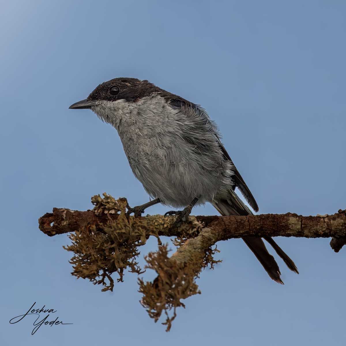 SAF6527Capetown8th-topaz-rawdenoise-sharpensocial-media