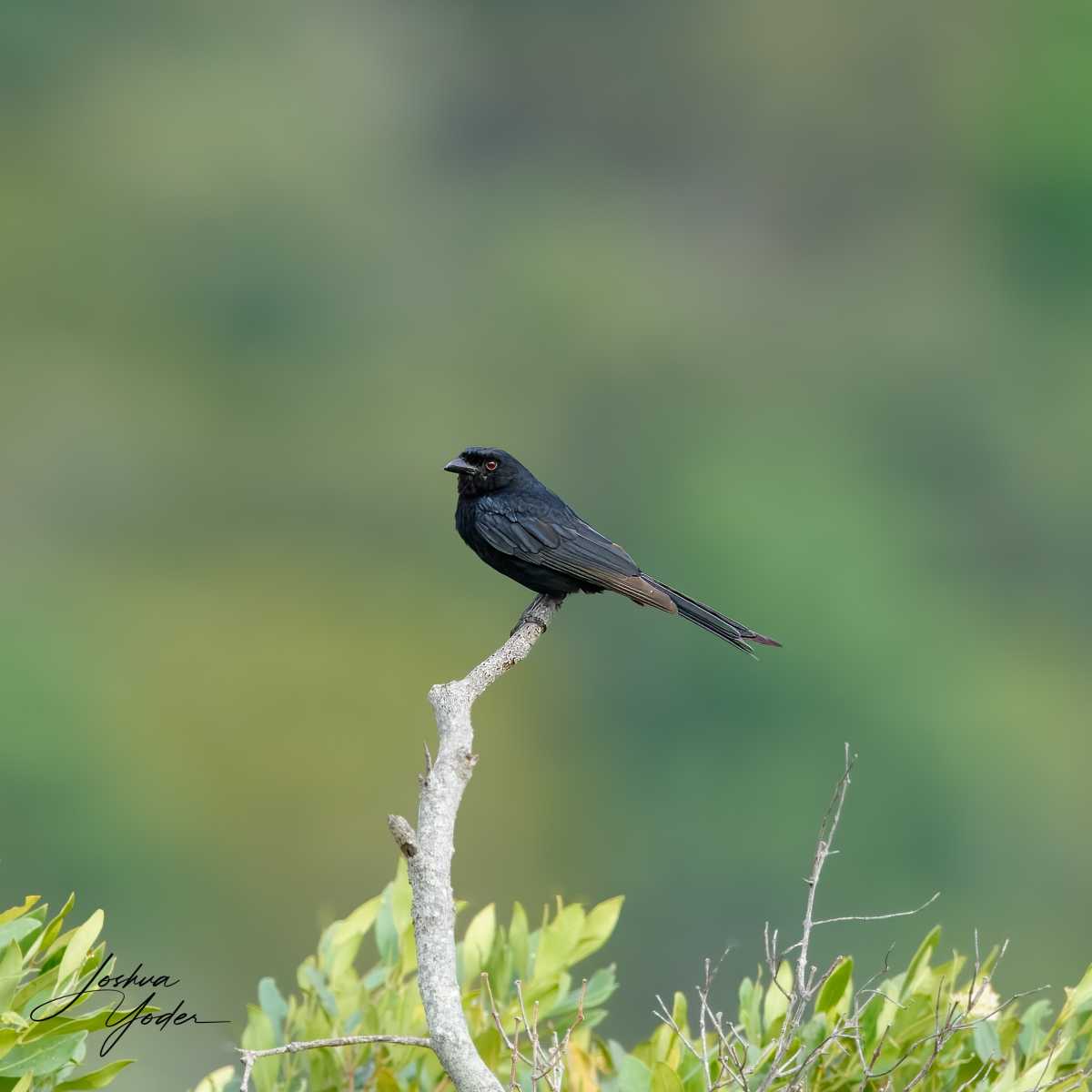 SAF2282Capetown7th-topaz-rawdenoise-sharpensocial-media