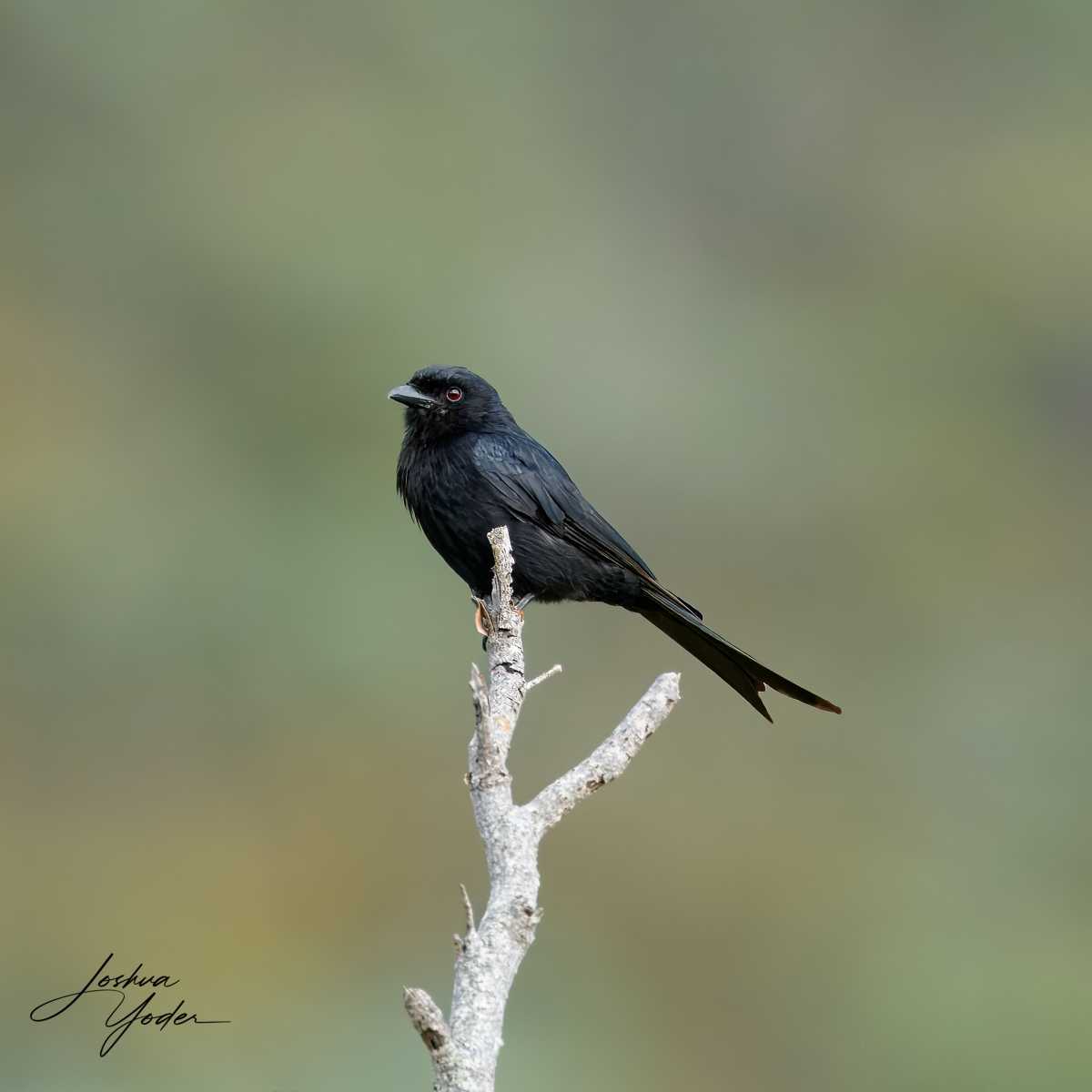 SAF2310Capetown7th-topaz-rawdenoise-sharpensocial-media