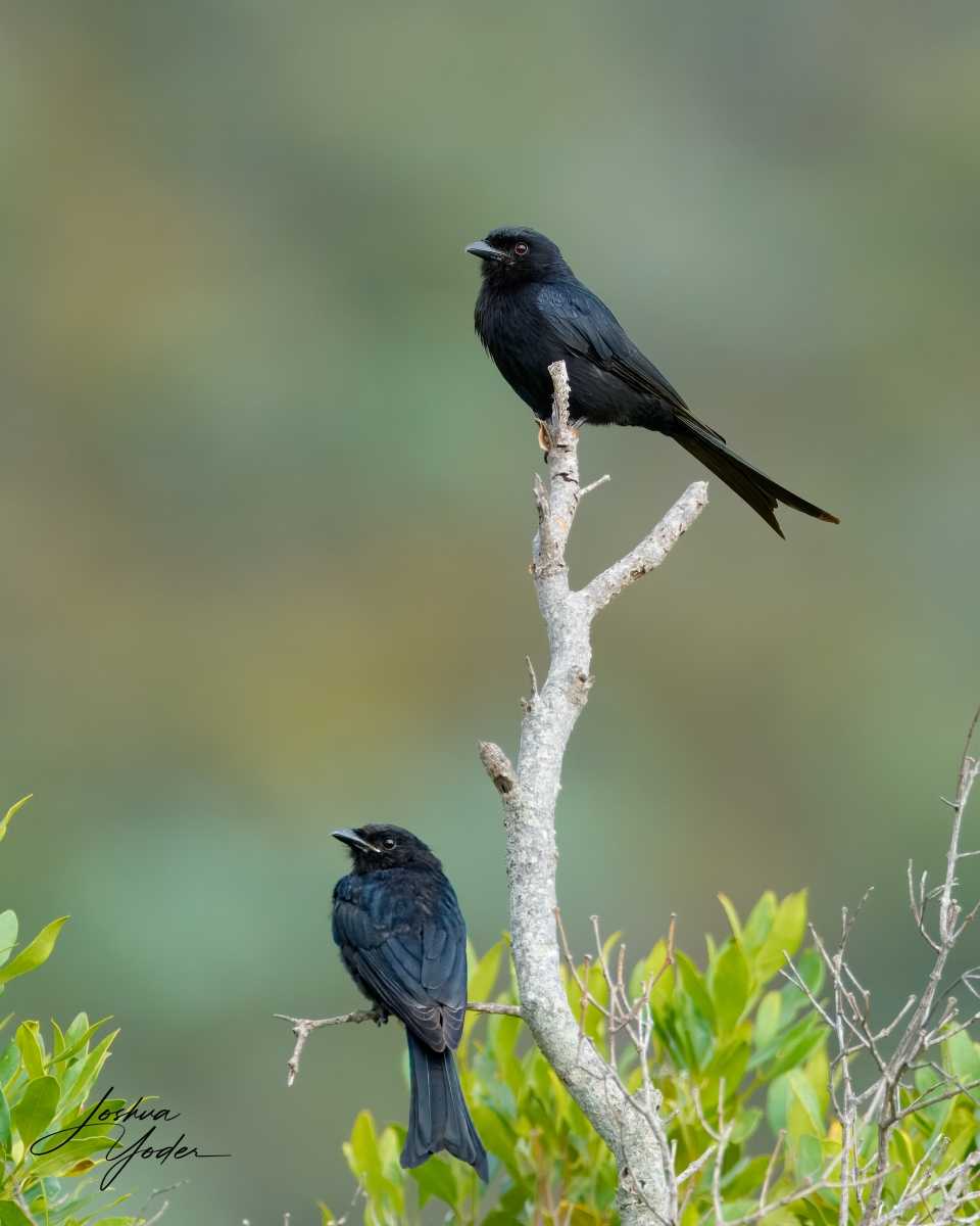 SAF2314Capetown7th-topaz-rawdenoise-sharpensocial-media