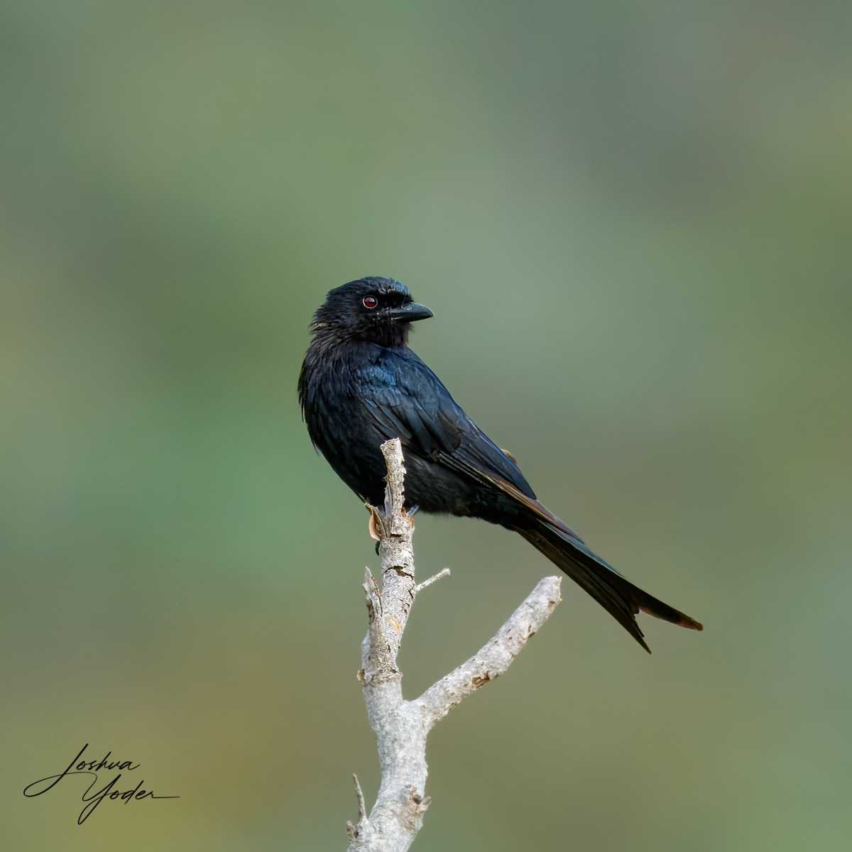 SAF2319Capetown7th-topaz-rawdenoise-sharpensocial-media-2