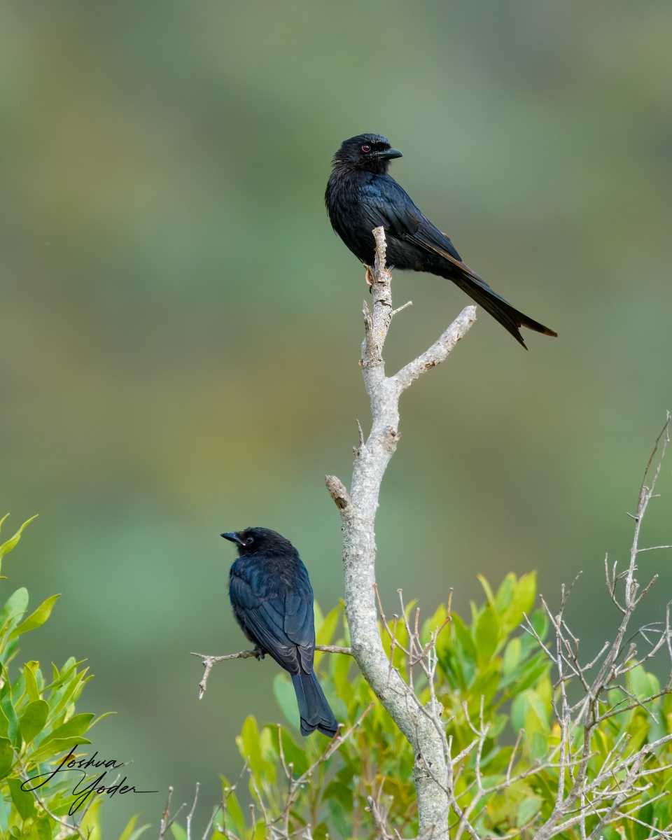 SAF2319Capetown7th-topaz-rawdenoise-sharpensocial-media