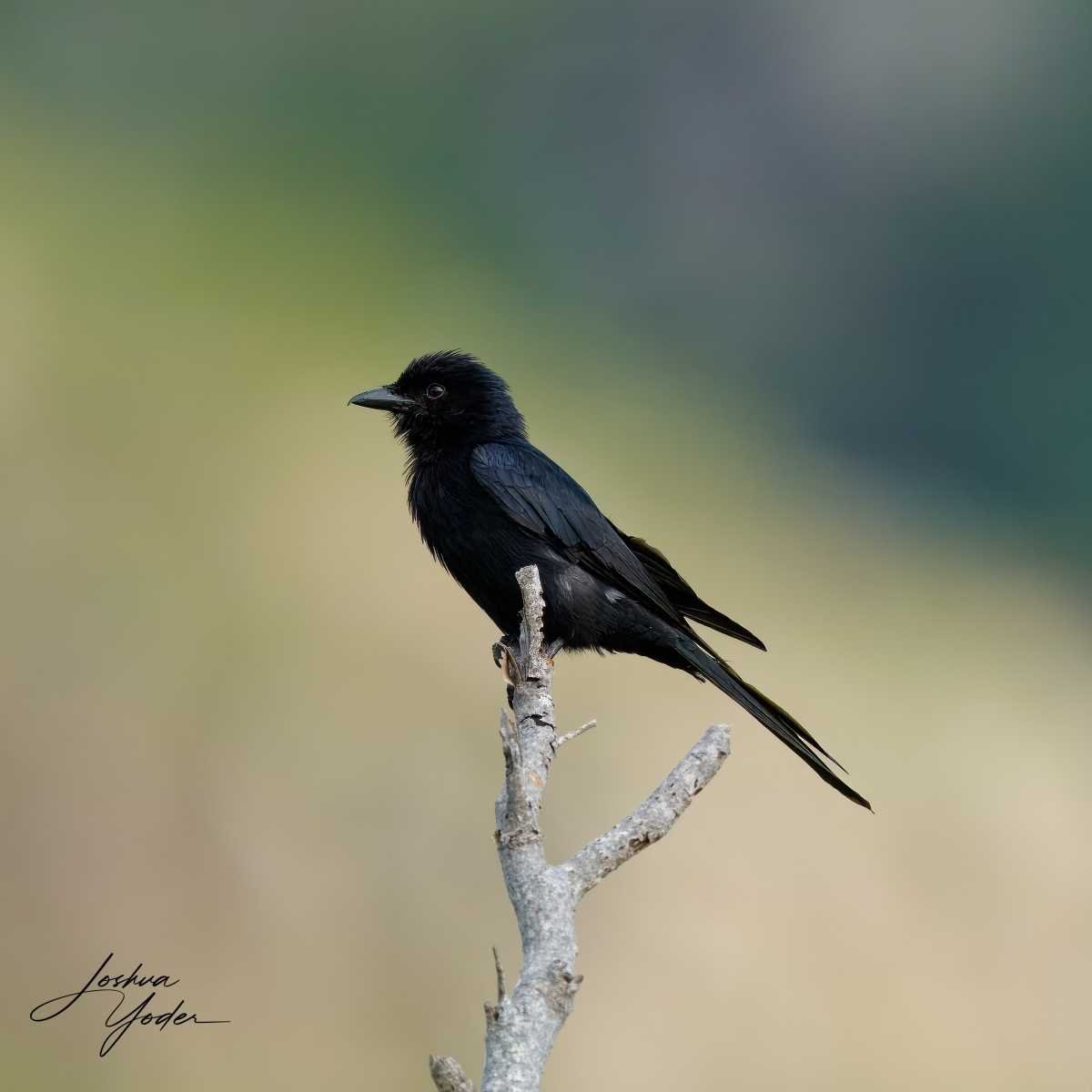 SAF2322Capetown7th-topaz-rawdenoise-sharpensocial-media