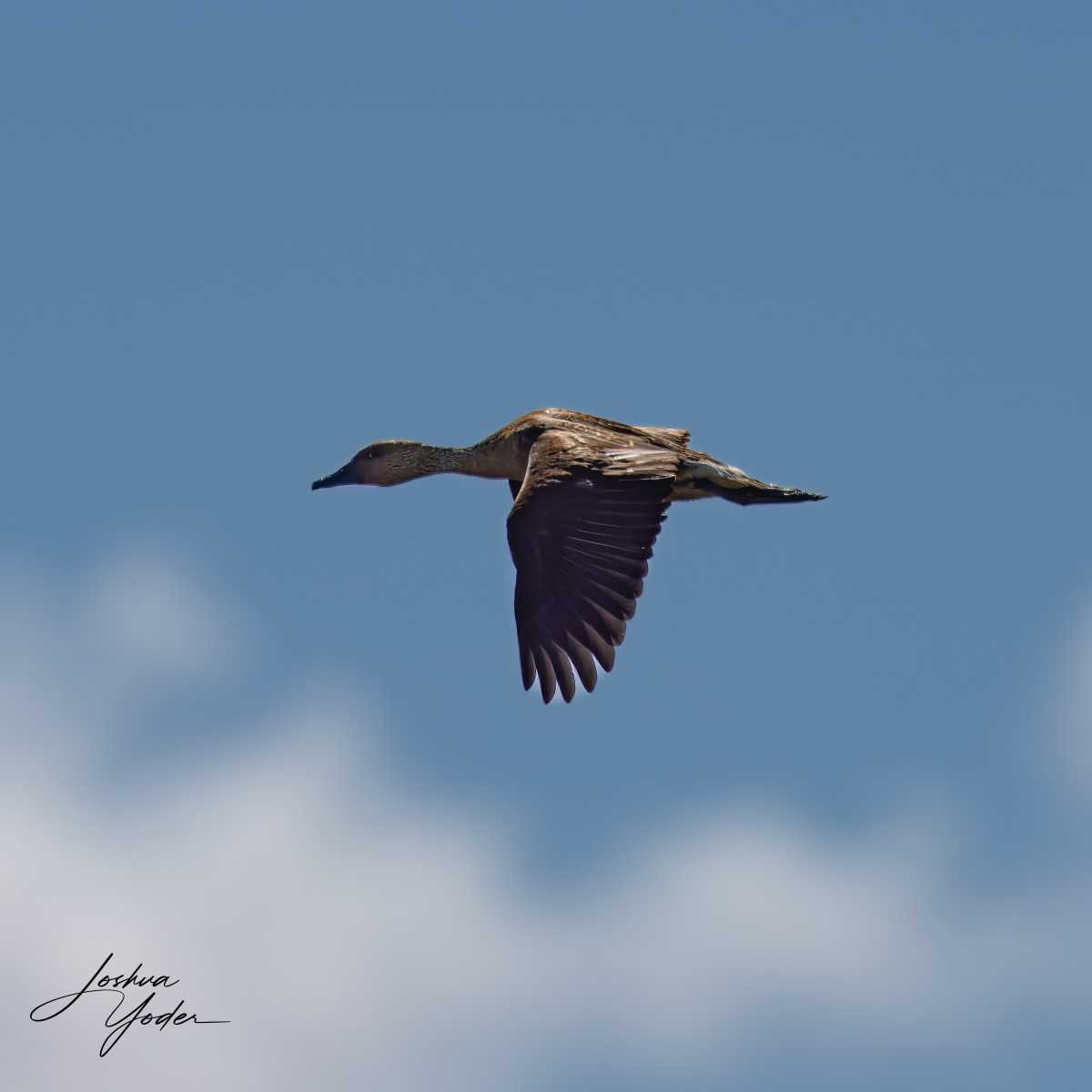 SAF8835Capetown7th-topaz-rawdenoise-sharpensocial-media