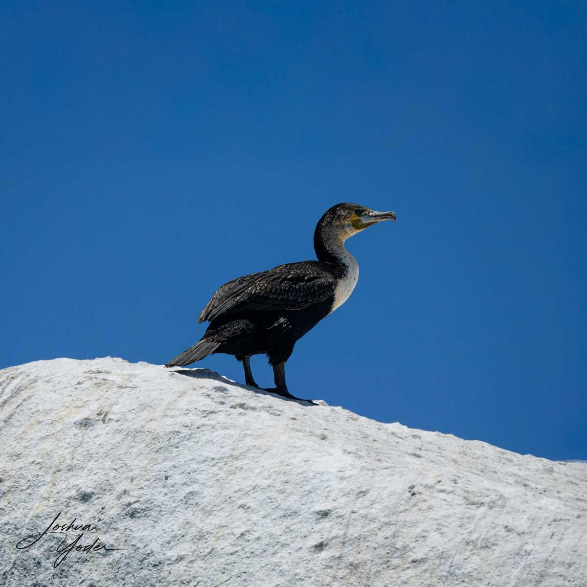 SAF8499-topaz-rawdenoise-sharpen-Editsocial-media