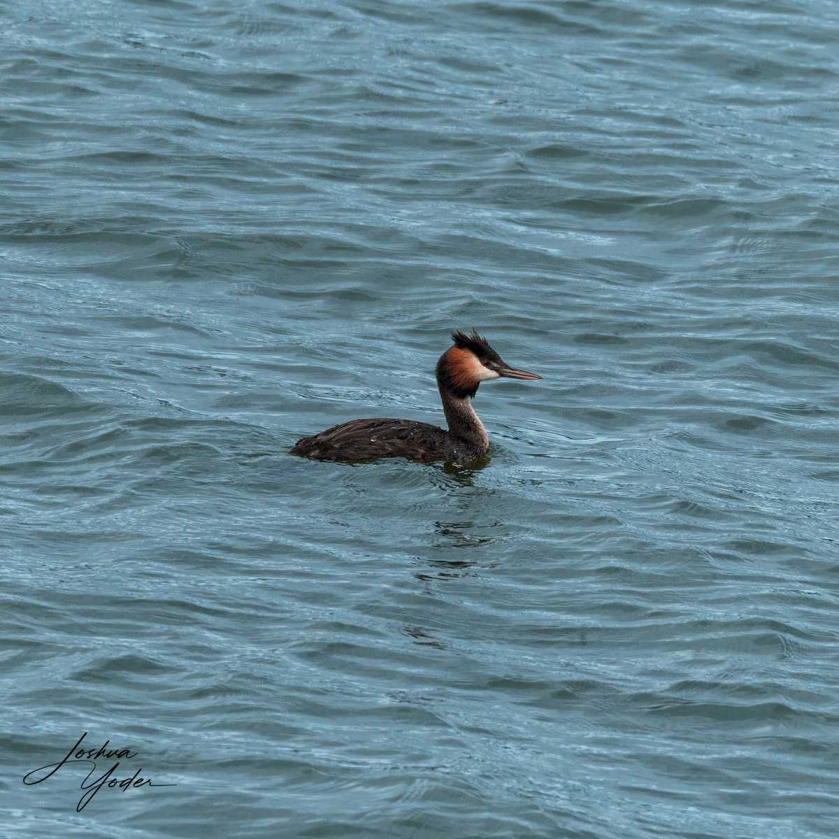 SAF6104Capetown8th-DxO_DeepPRIME-3social-media