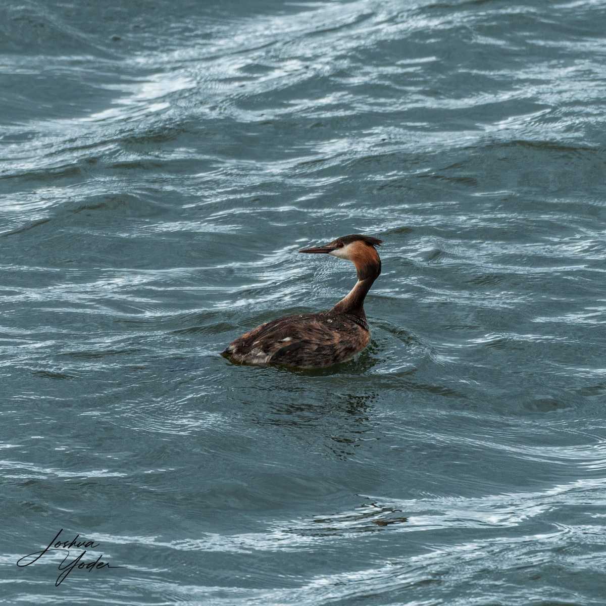 SAF6145Capetown8th-DxO_DeepPRIME-3social-media