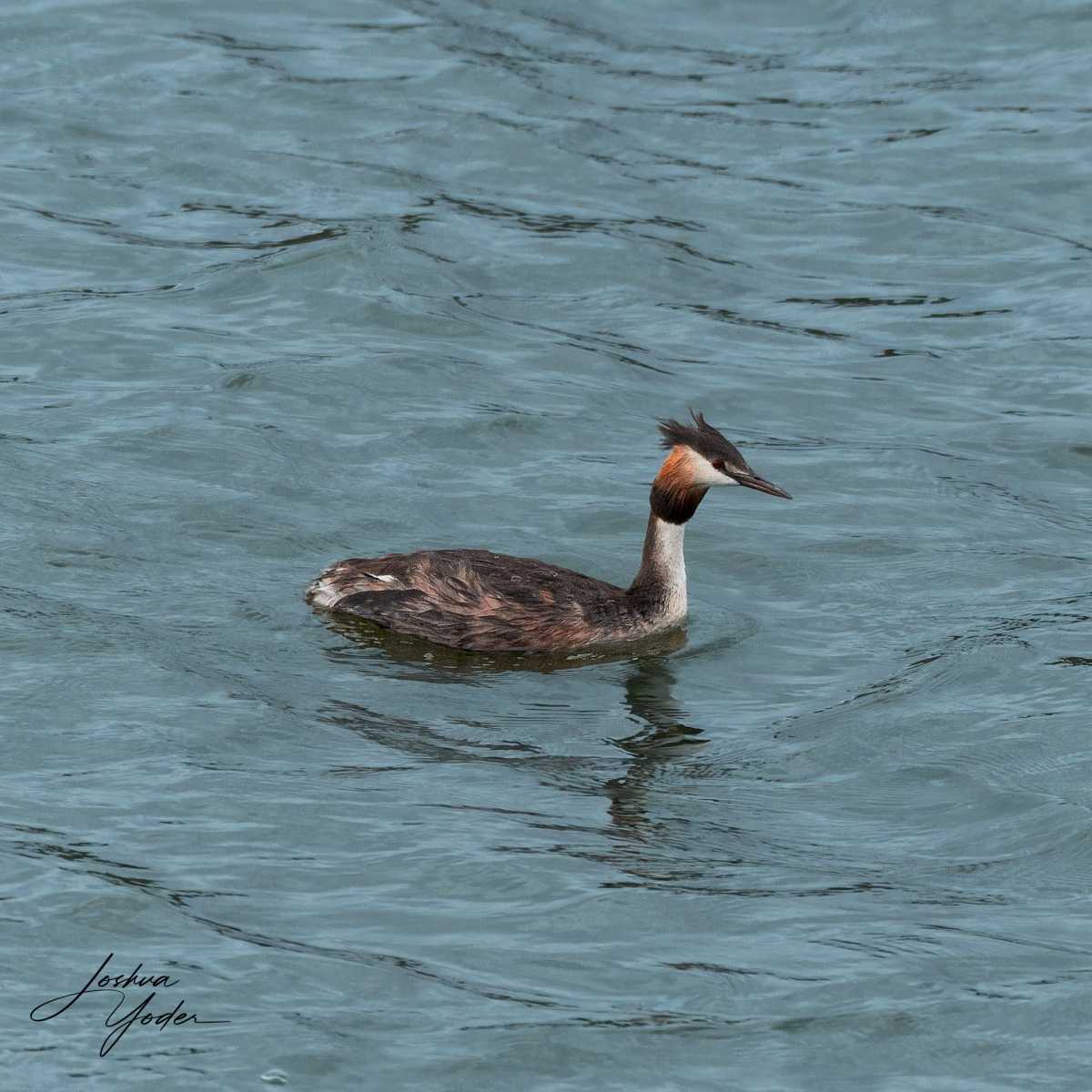 SAF6267Capetown8th-DxO_DeepPRIME-3social-media