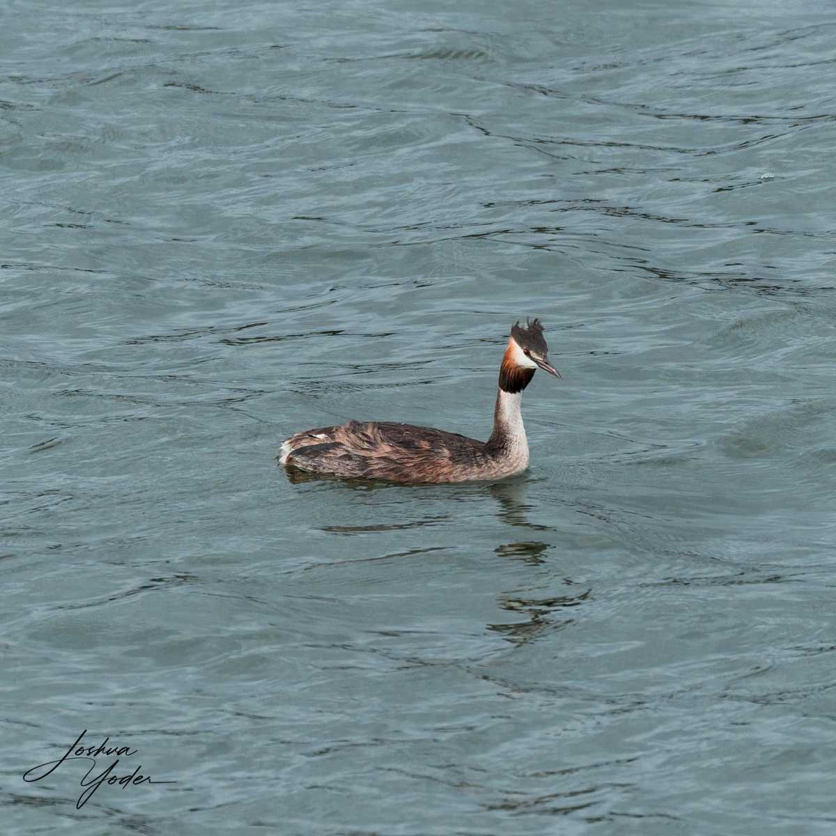 SAF6274Capetown8th-DxO_DeepPRIME-3social-media