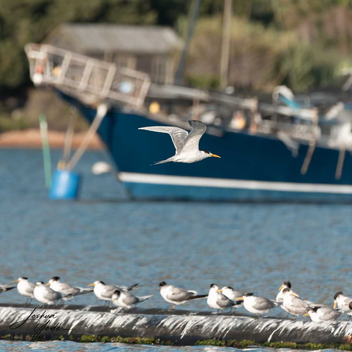 SAF0291-DxO_DeepPRIME-3social-media