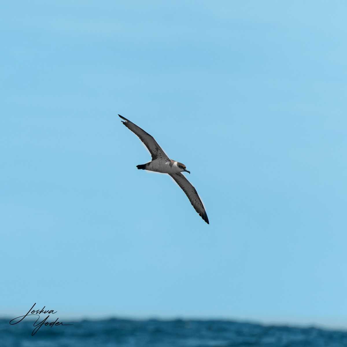 SAF3404-ARW_DxO_DeepPRIMEsocial-media