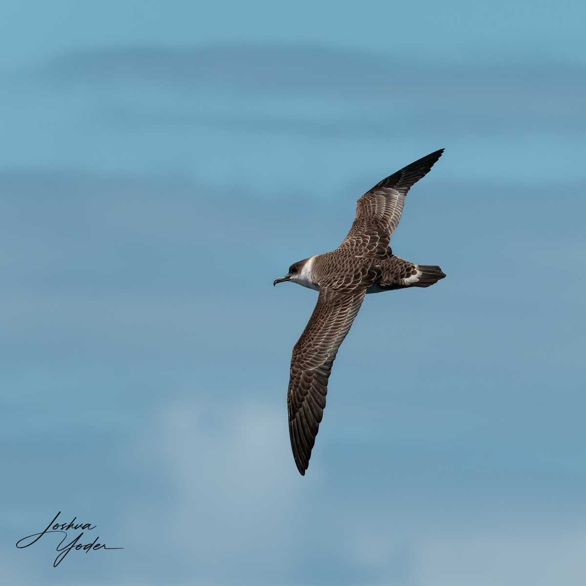 SAF5543-ARW_DxO_DeepPRIME-Edit-Editsocial-media