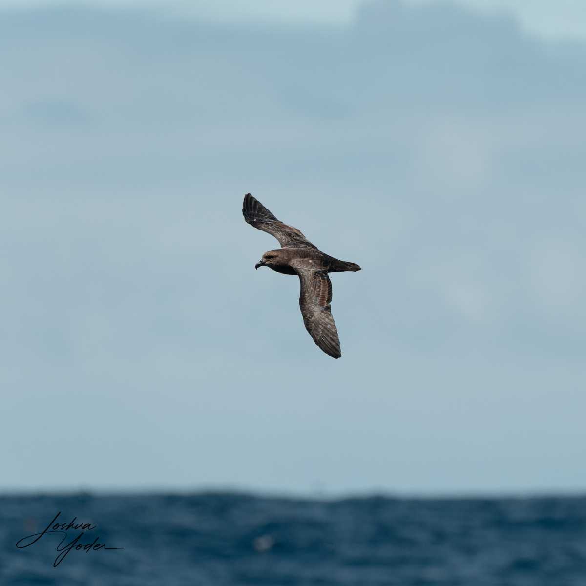 SAF7261-ARW_DxO_DeepPRIMEsocial-media