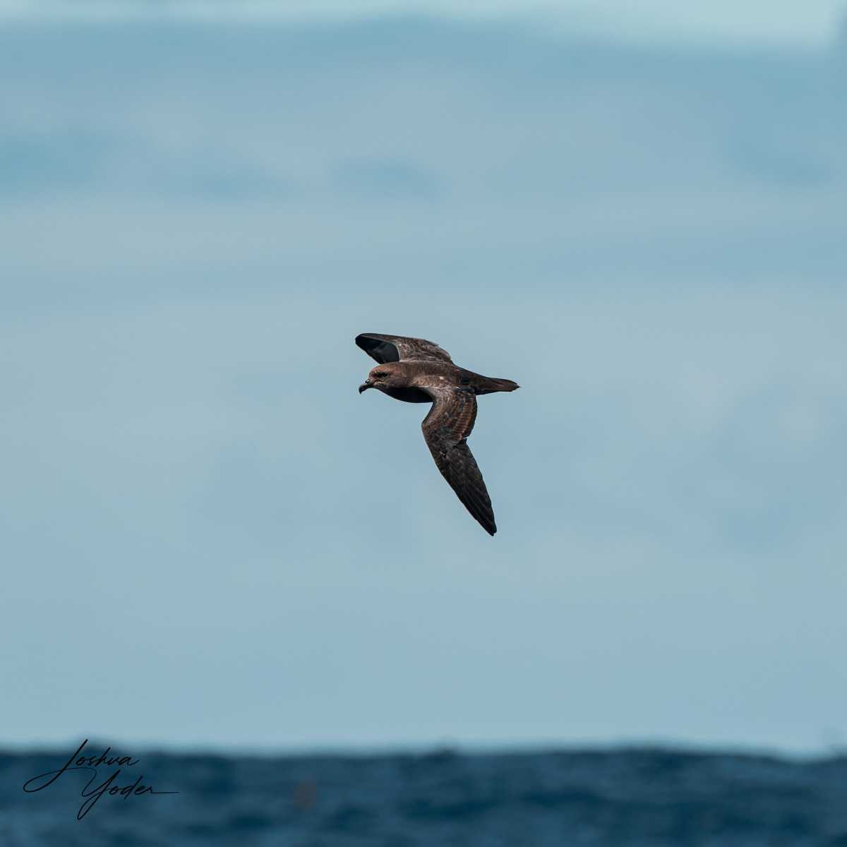 SAF7263-ARW_DxO_DeepPRIMEsocial-media