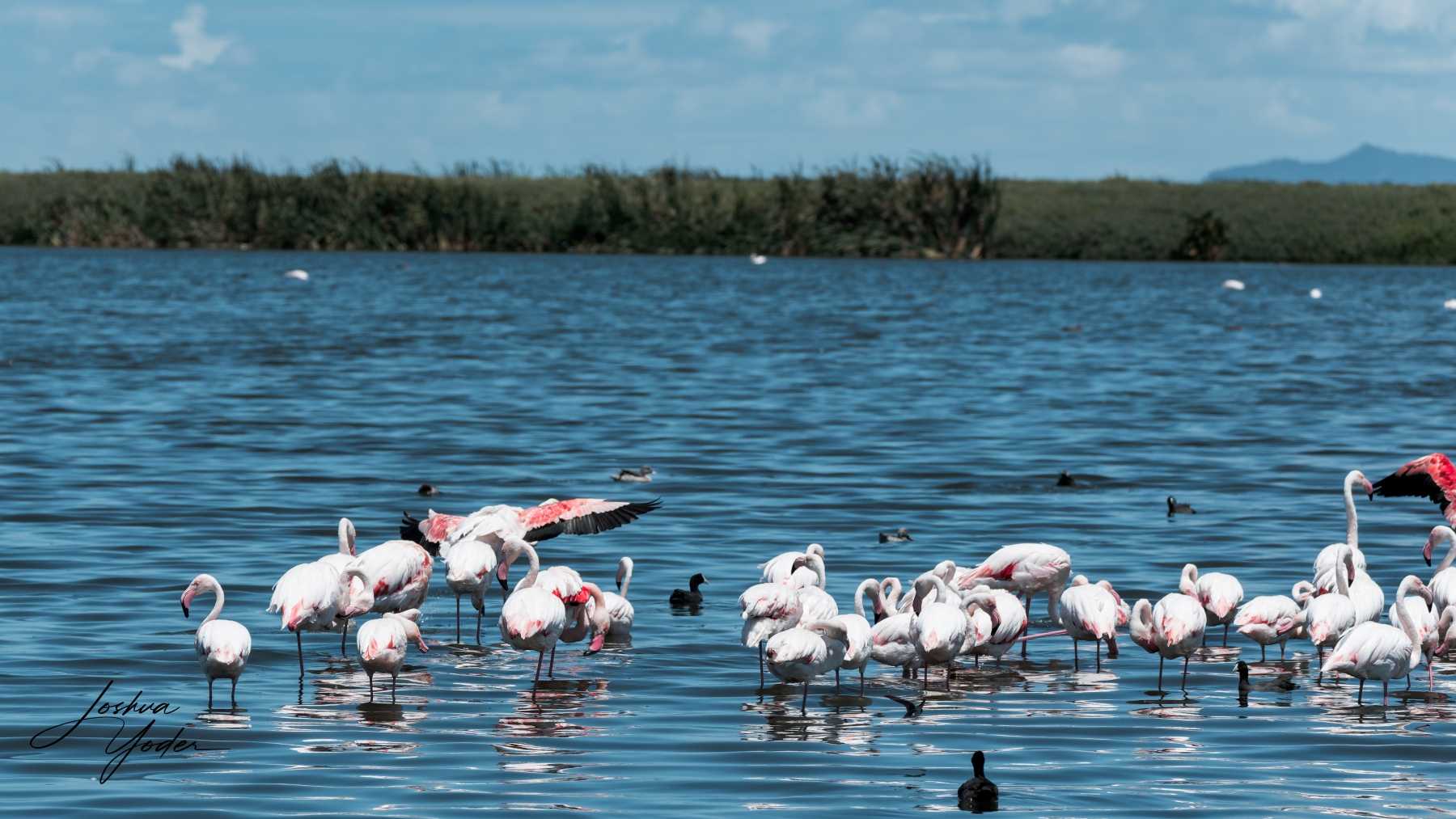 SAF3937Capetown7th-DxO_DeepPRIME-3social-media