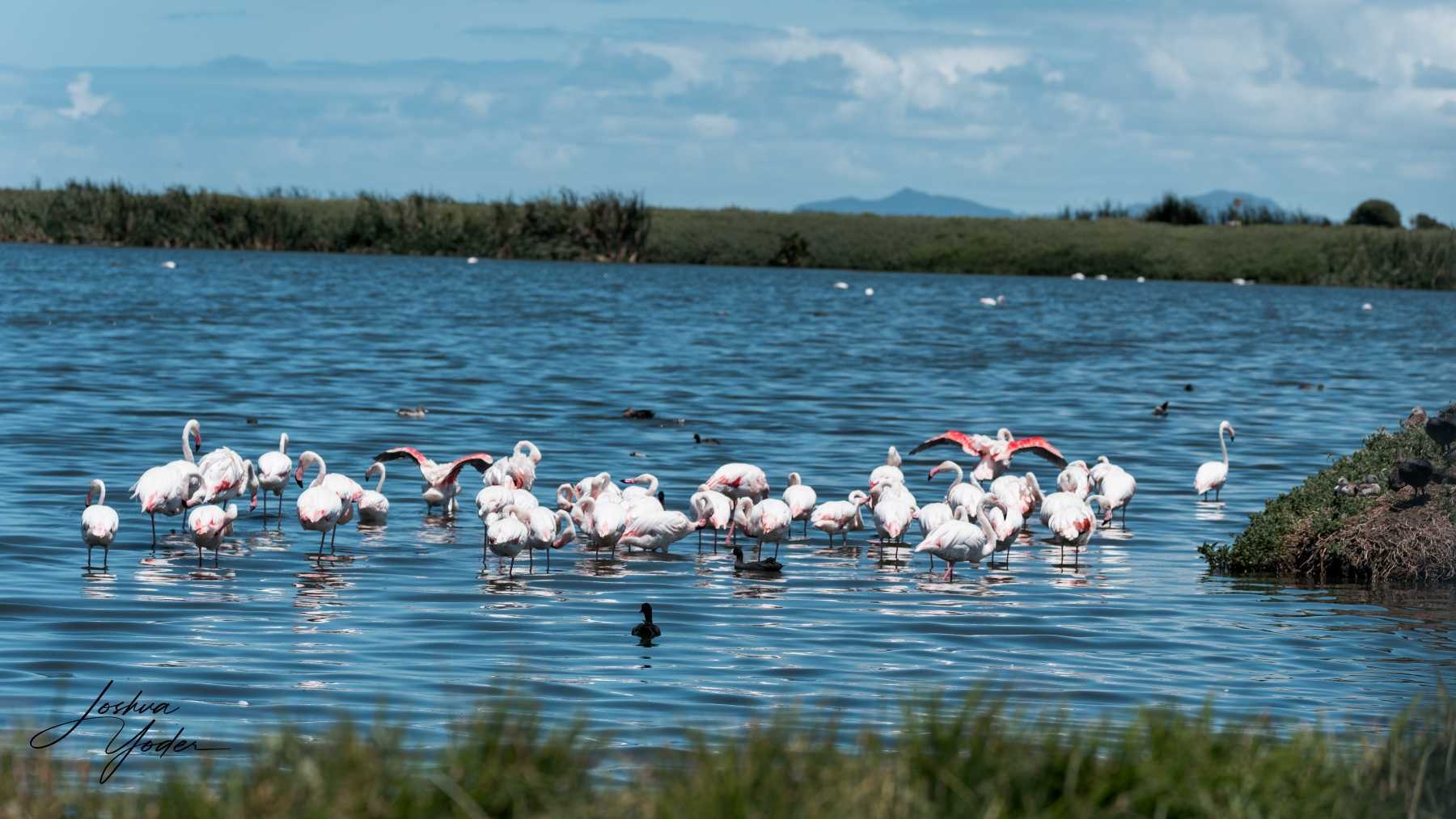 SAF3943Capetown7th-DxO_DeepPRIME-3social-media