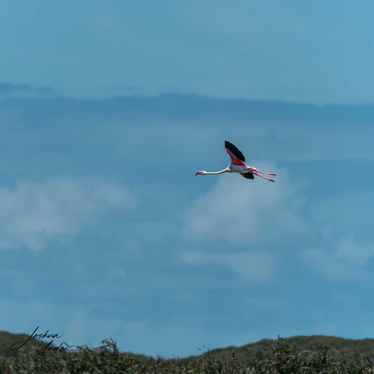 SAF4565Capetown7th-DxO_DeepPRIME-3social-media