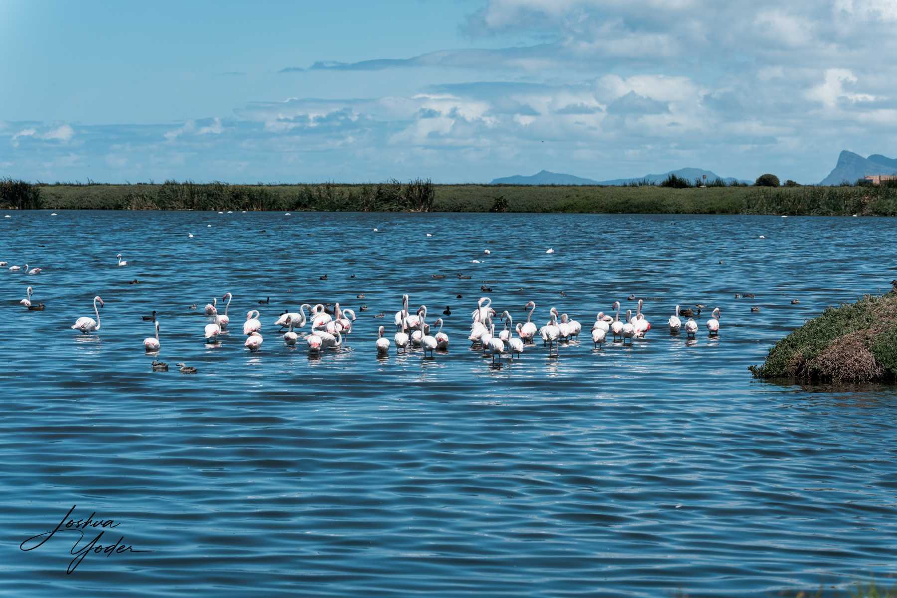 SAF4710Capetown7th-DxO_DeepPRIME-3social-media