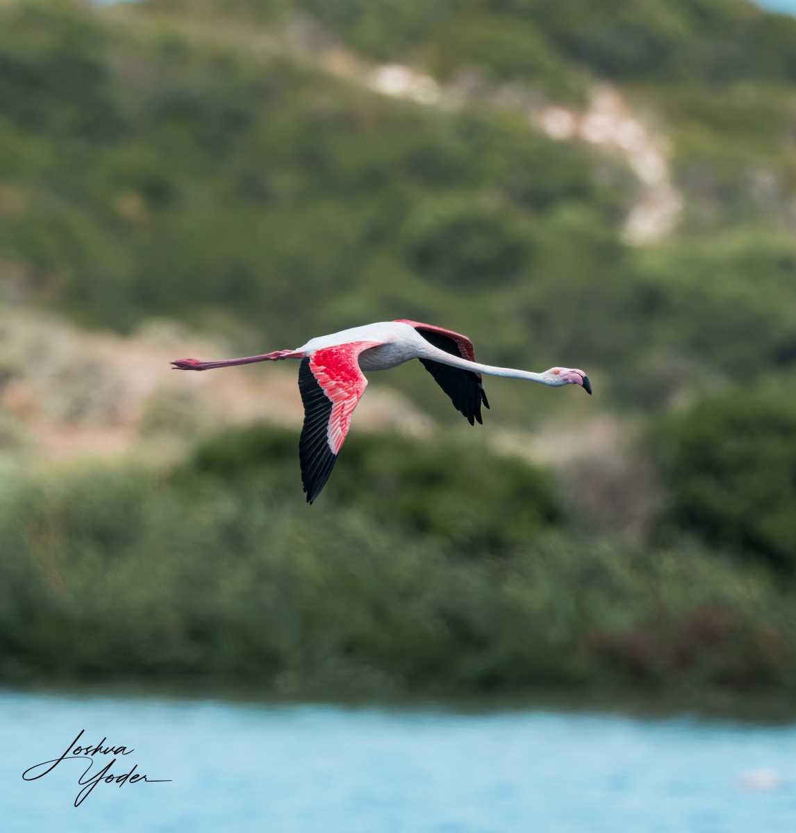 SAF5698Capetown7th-DxO_DeepPRIME-3social-media