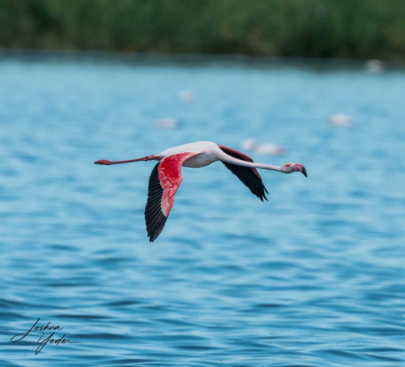 SAF5712Capetown7th-DxO_DeepPRIME-3social-media