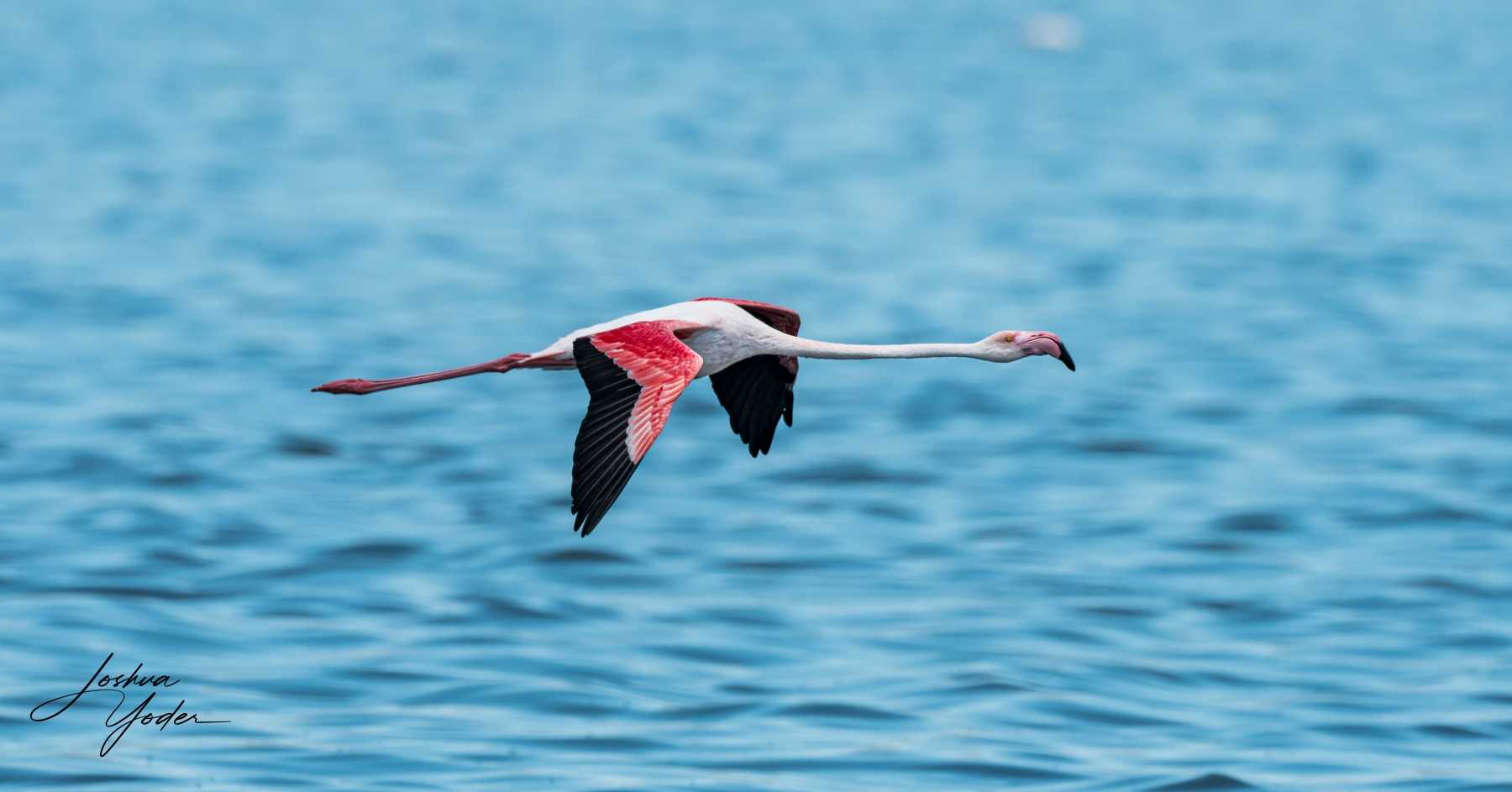 SAF5750Capetown7th-DxO_DeepPRIME-3social-media