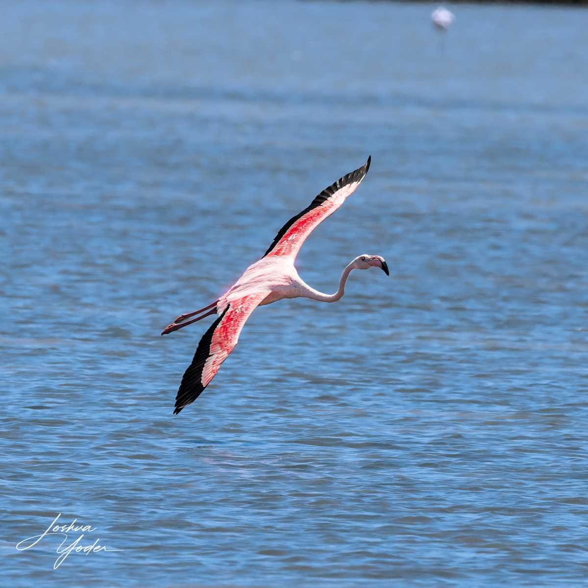 SAF9107Westerncape11th-DxO_DeepPRIME-3social-media