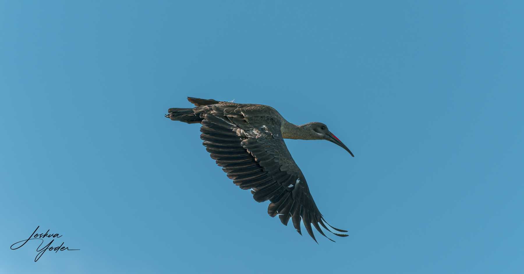 SAF1553Capetown6th-DxO_DeepPRIME-3social-media