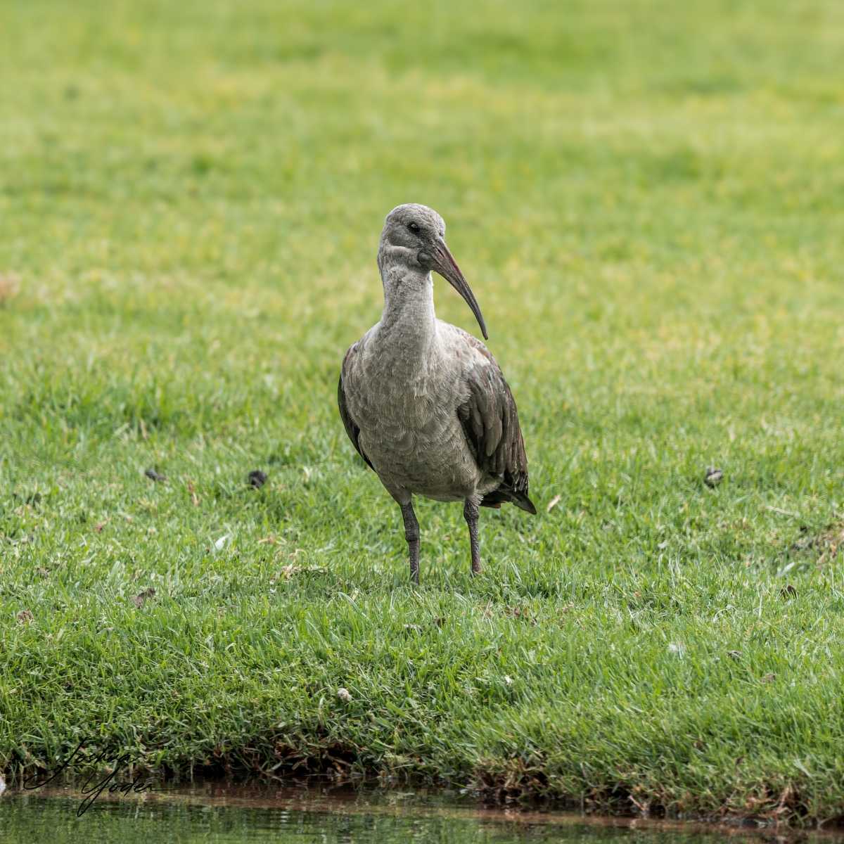 SAF3569Capetown7th-DxO_DeepPRIME-3social-media