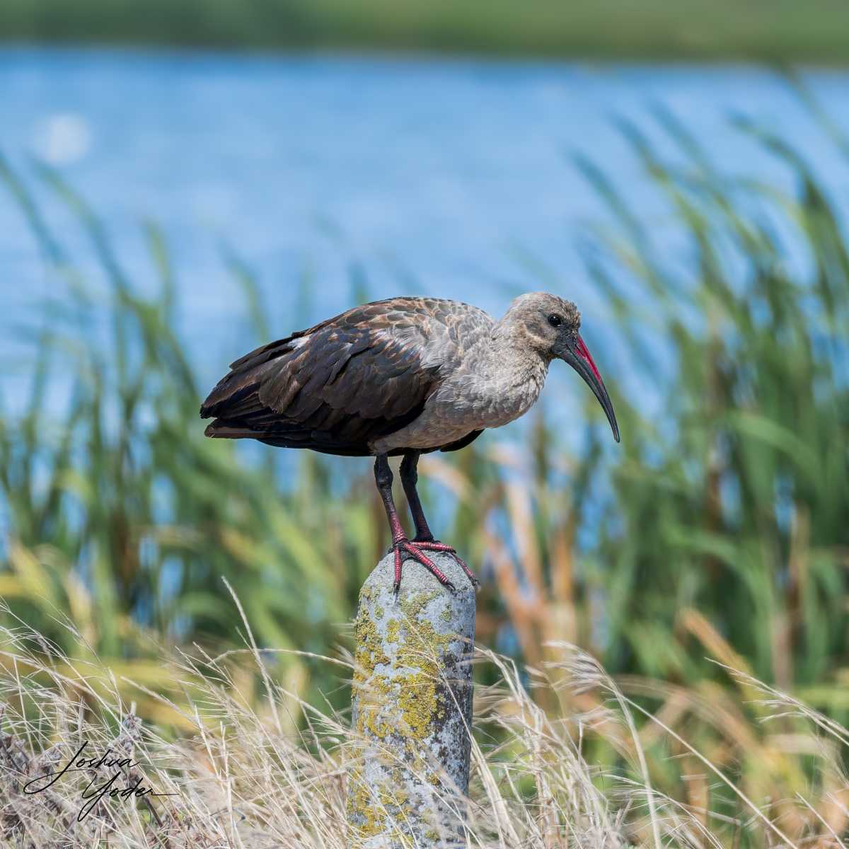 STA0261Capetown7th-DxO_DeepPRIME-3social-media