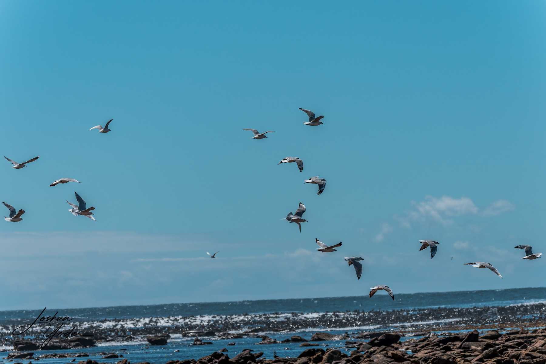 SAF9922-DxO_DeepPRIME-3social-media