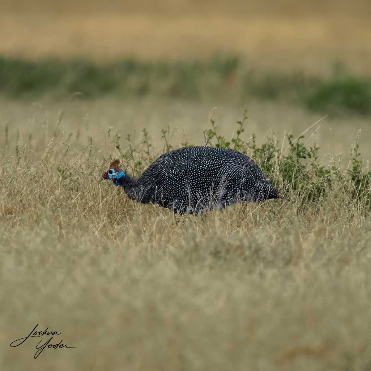 SAF7755Westerncape9th-Editsocial-media