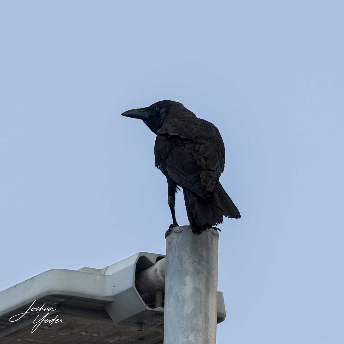 SAF0921Westerncape11th-DxO_DeepPRIME-3social-media