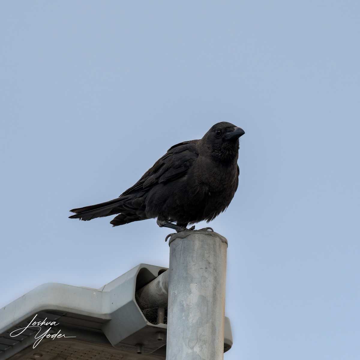 SAF0959Westerncape11th-DxO_DeepPRIME-3social-media