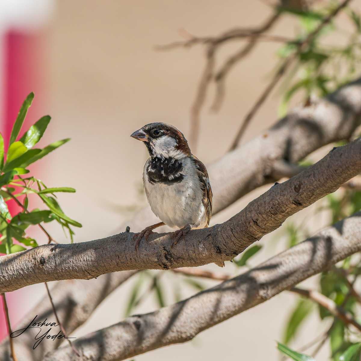 STA2810Westerncape10th-DxO_DeepPRIME-3social-media