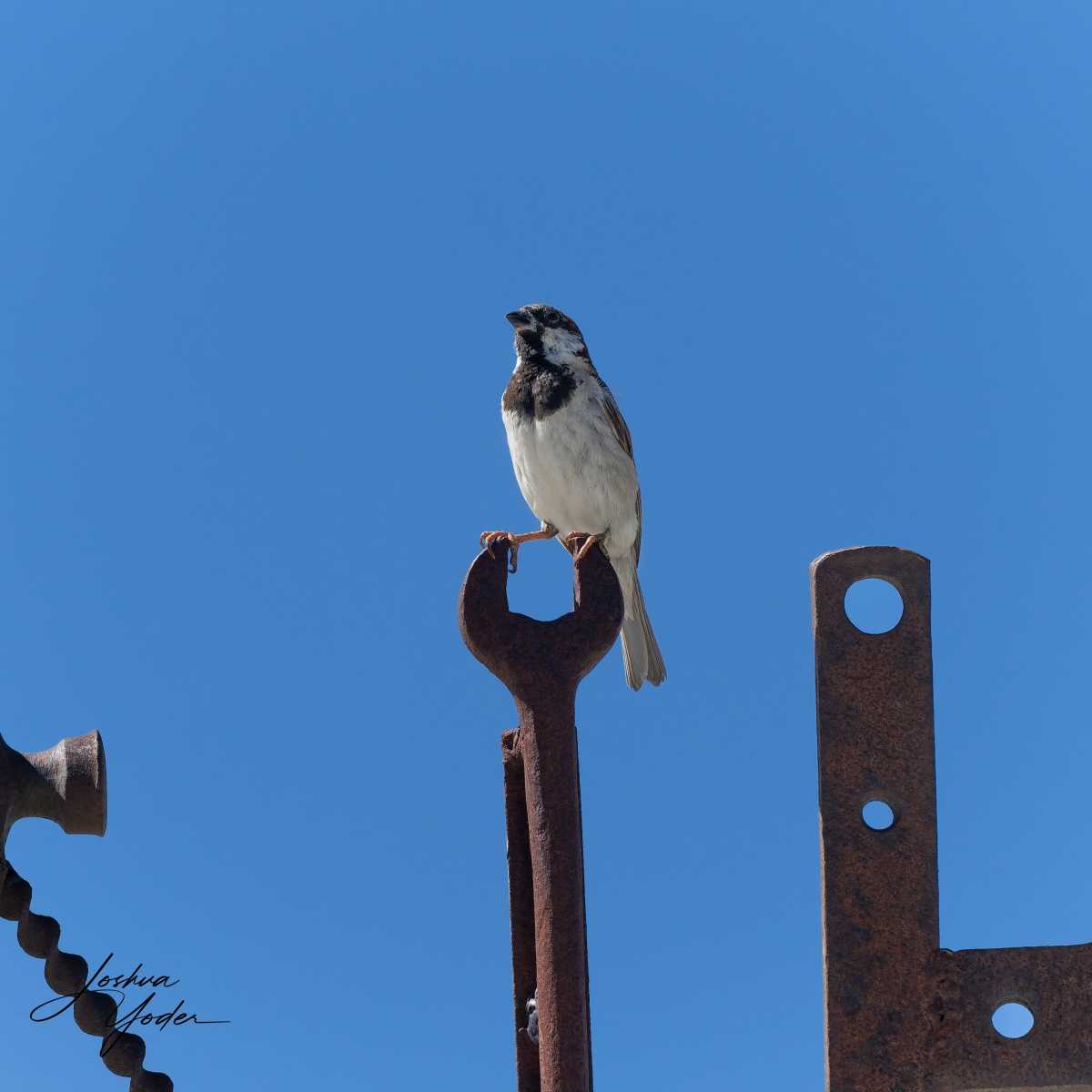 STA2831Westerncape10th-DxO_DeepPRIME-3social-media