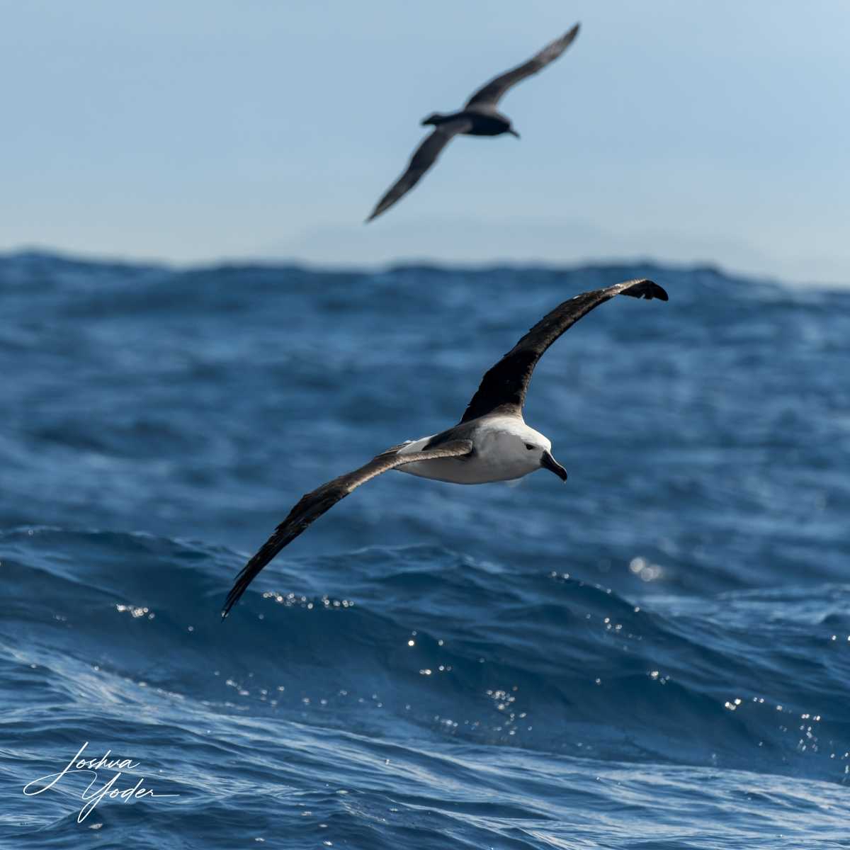 SAF3940-ARW_DxO_DeepPRIMEsocial-media