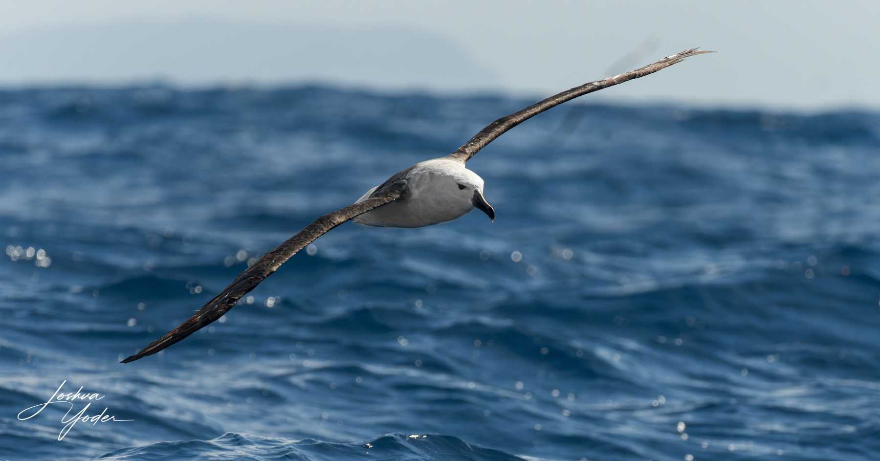 SAF3955-ARW_DxO_DeepPRIMEsocial-media