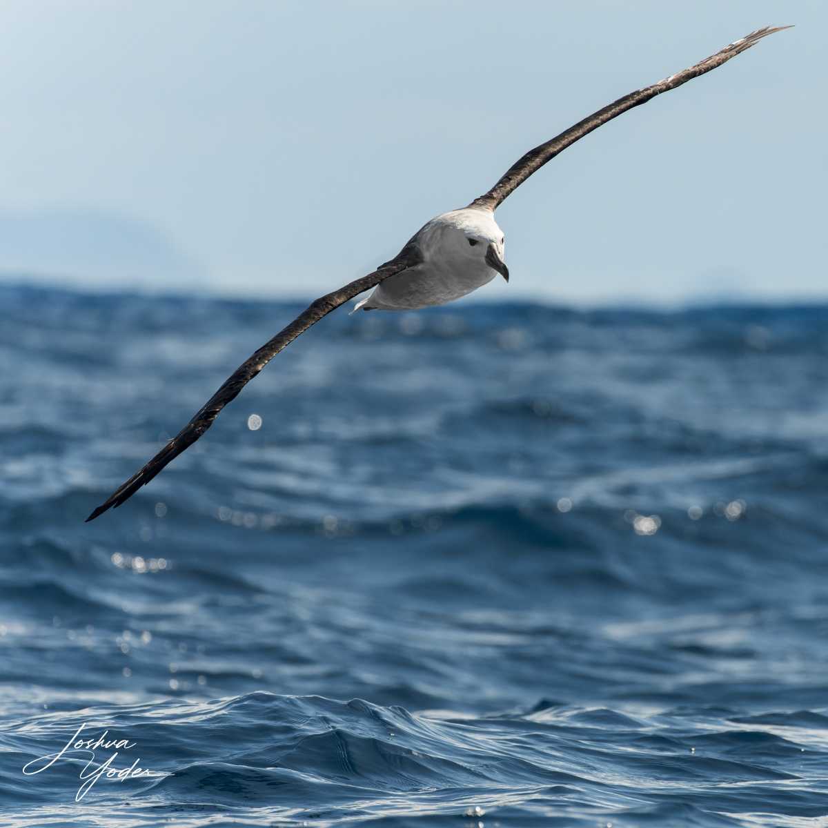 SAF3961-ARW_DxO_DeepPRIMEsocial-media