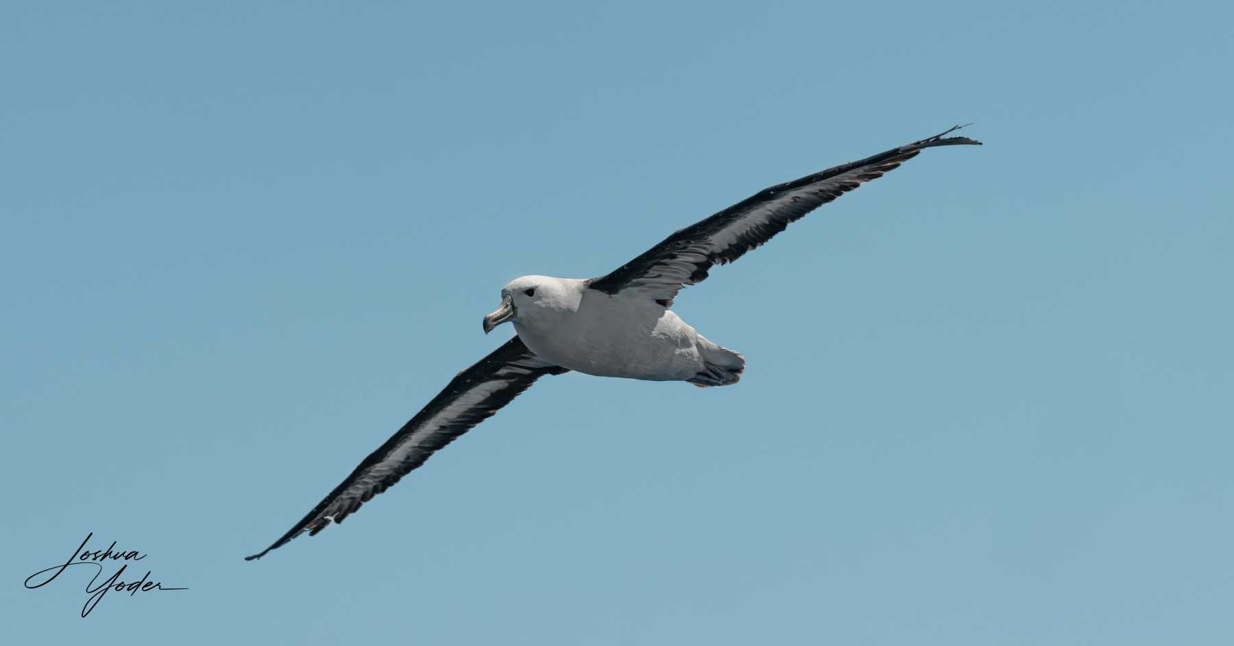 SAF3971-ARW_DxO_DeepPRIMEsocial-media