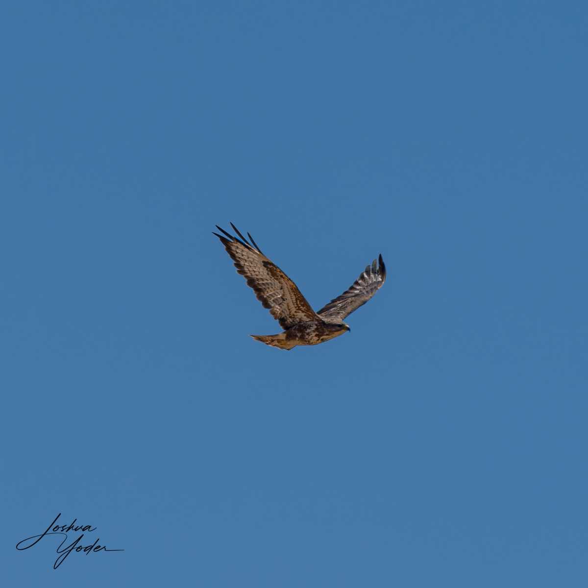 SAF0089Westerncape9th-DxO_DeepPRIME-3social-media