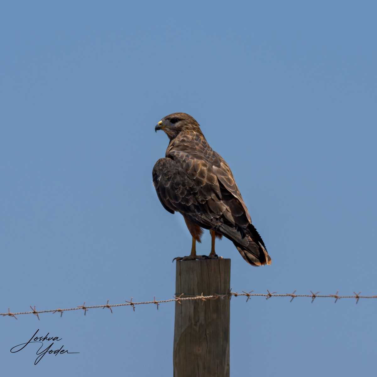 SAF0536Westerncape9th-DxO_DeepPRIME-3social-media