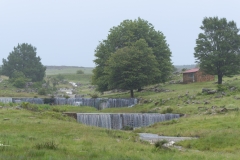 20250113-_STA4527Johburg13th