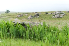 20250113-_STA4627Johburg13th