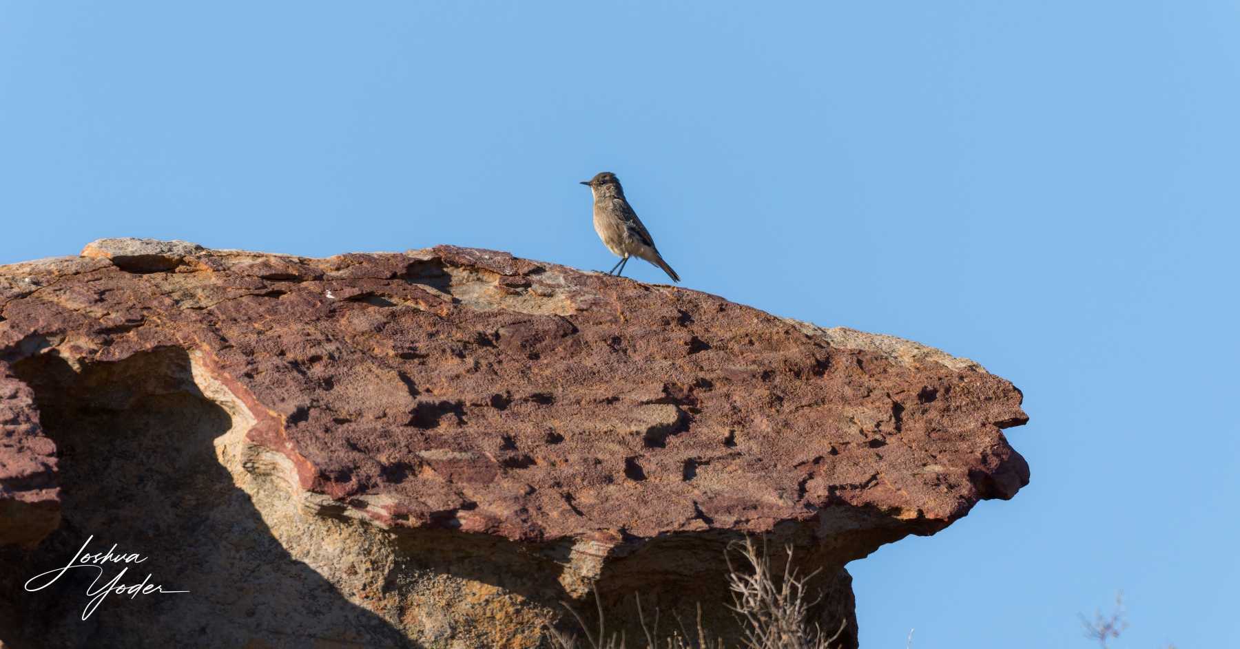 SAF1620Westerncape10th-DxO_DeepPRIME-3social-media