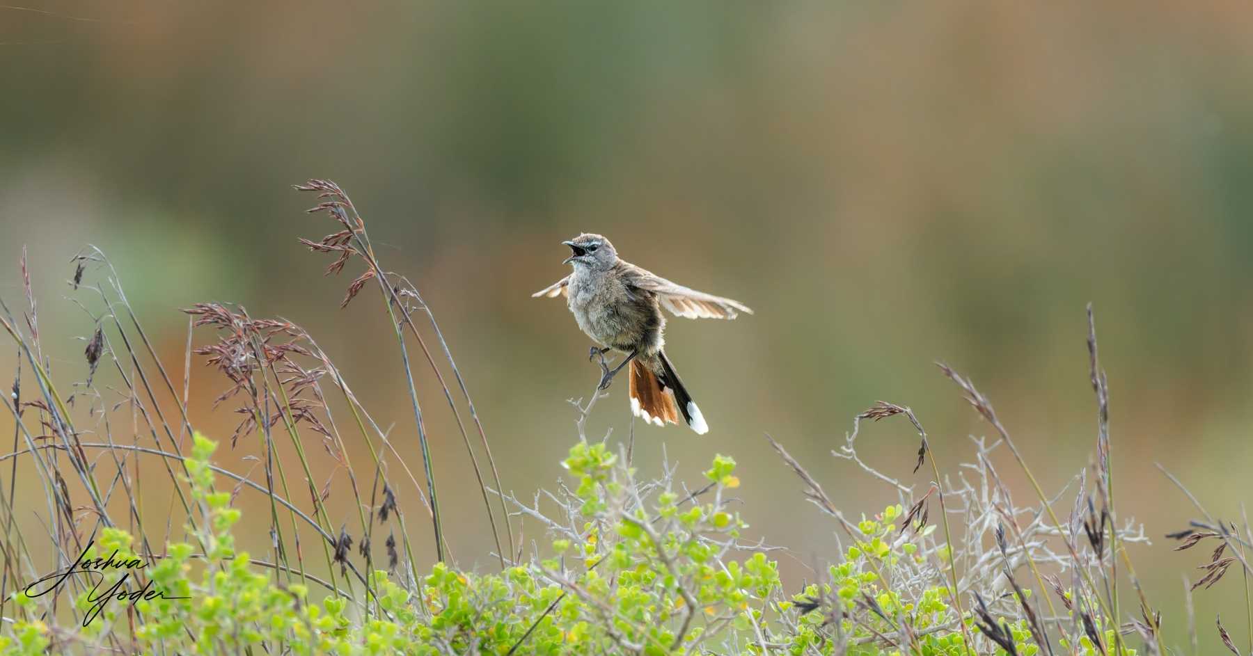 SAF8869Westerncape9th-DxO_DeepPRIME-3social-media-2