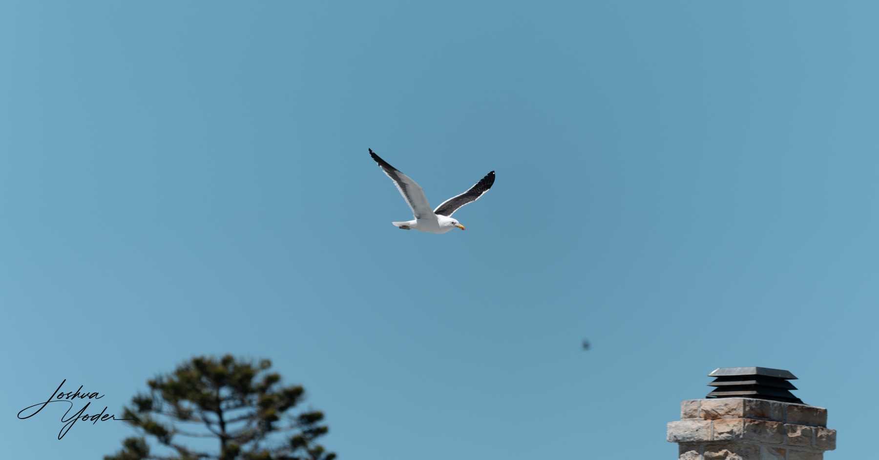 SAF9156-DxO_DeepPRIME-3social-media