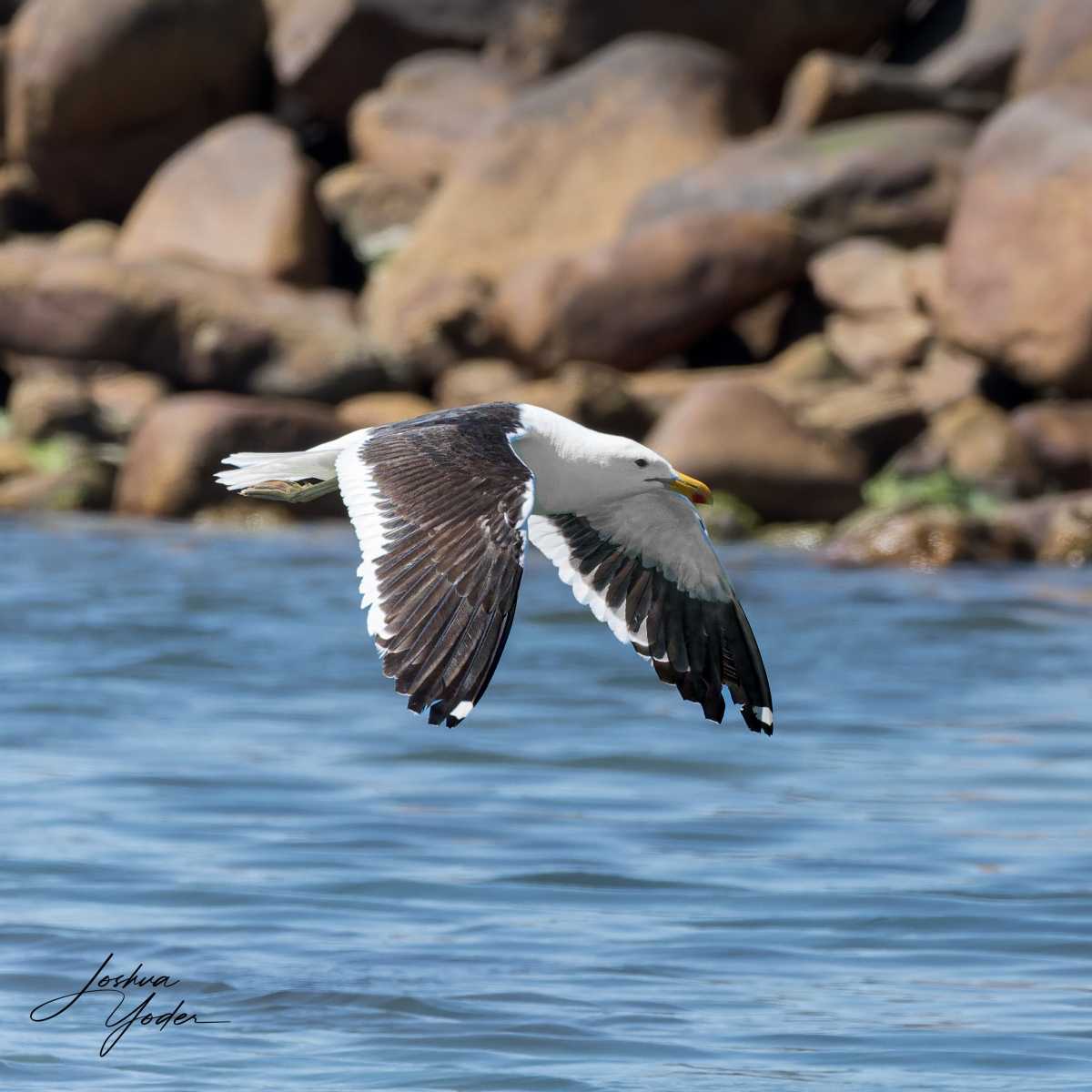 SAF9574-DxO_DeepPRIME-3social-media