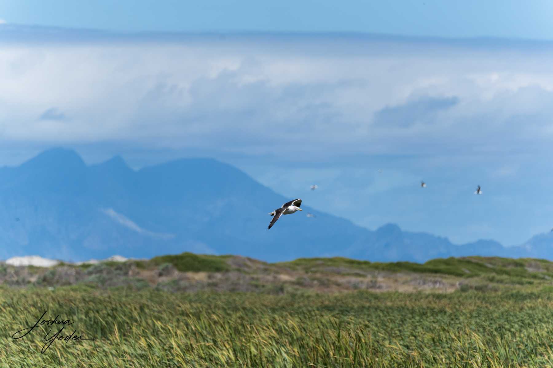 STA0324Capetown7th-DxO_DeepPRIME-3social-media