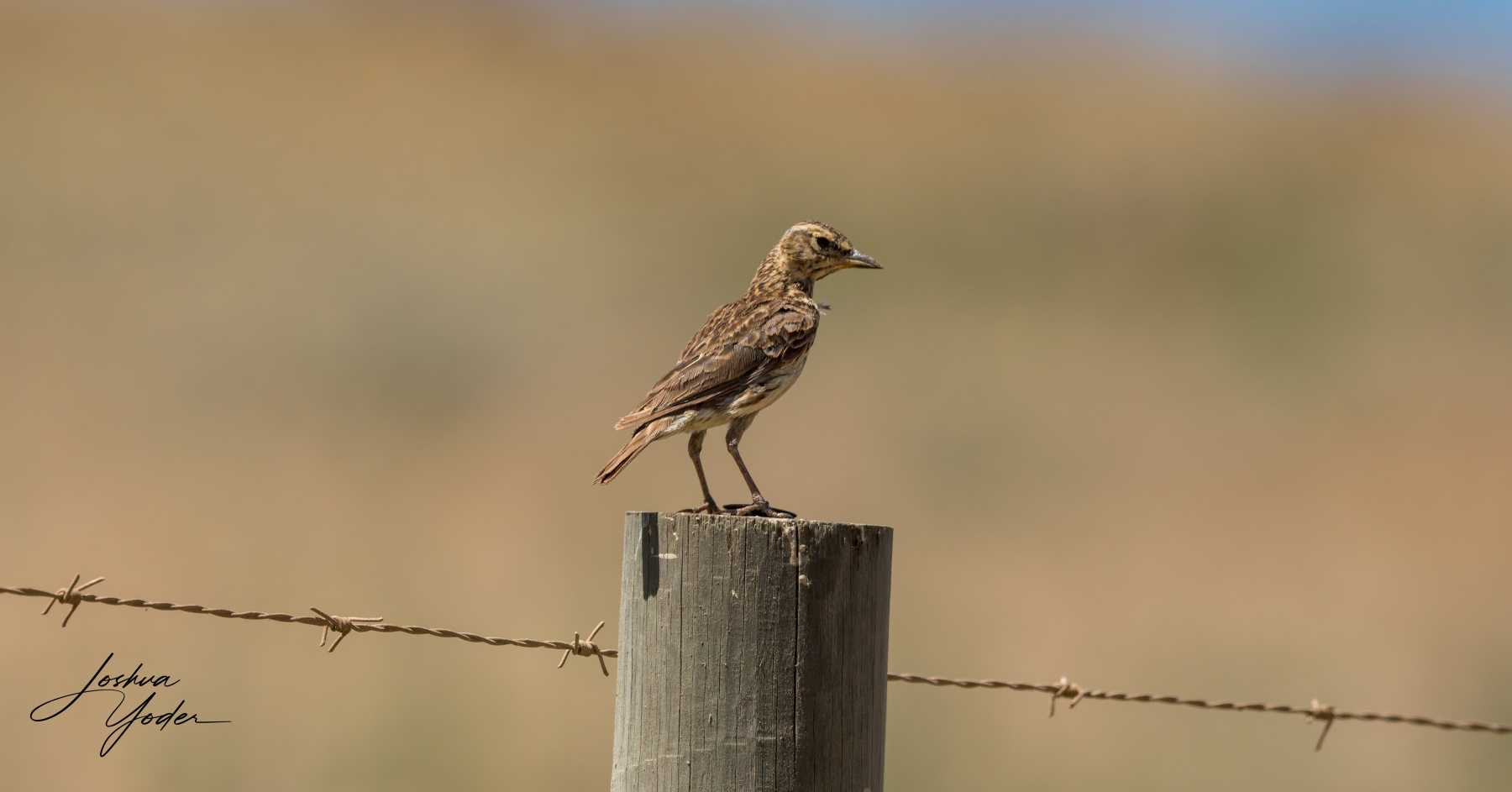 SAF9177Westerncape9th-DxO_DeepPRIME-3social-media