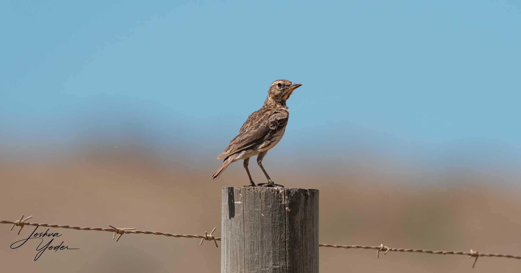 SAF9193Westerncape9th-DxO_DeepPRIME-3social-media